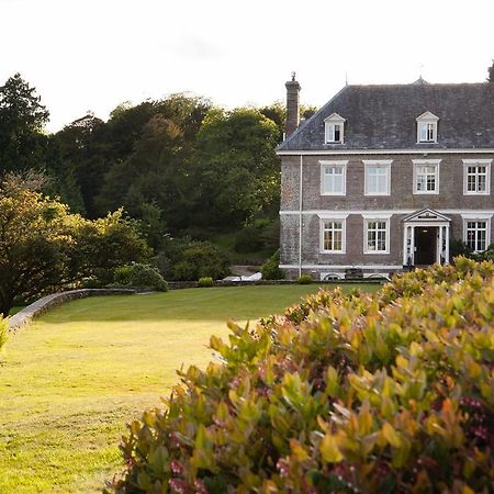 Buckland Tout Saints Hotel 托特尼斯 外观 照片