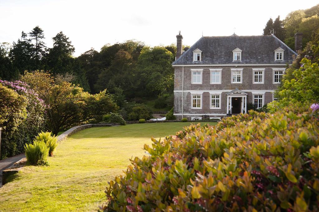 Buckland Tout Saints Hotel 托特尼斯 外观 照片
