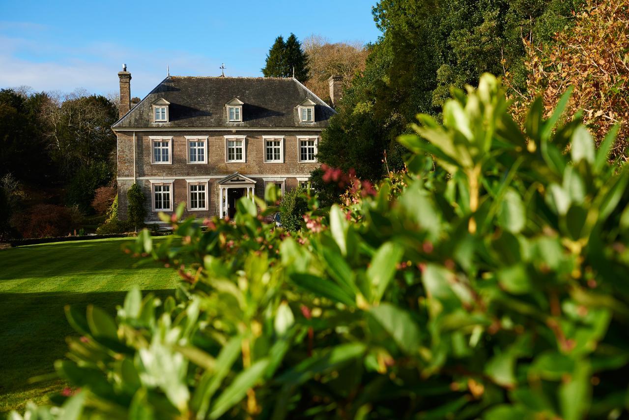 Buckland Tout Saints Hotel 托特尼斯 外观 照片