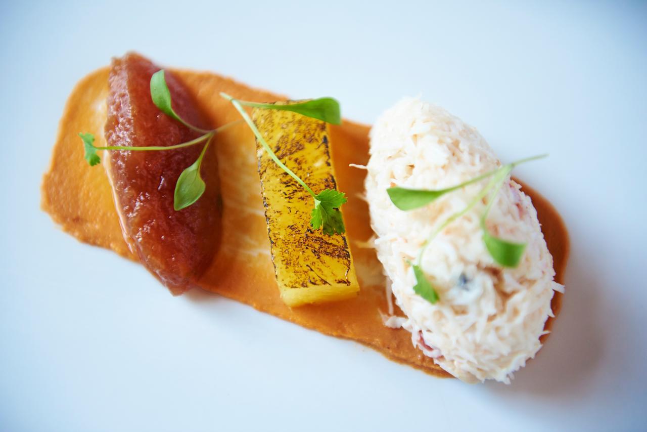 Buckland Tout Saints Hotel 托特尼斯 外观 照片