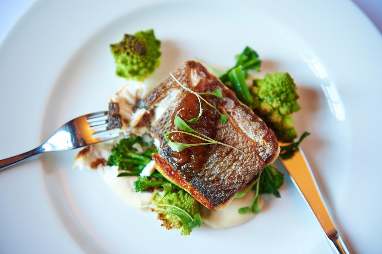 Buckland Tout Saints Hotel 托特尼斯 外观 照片