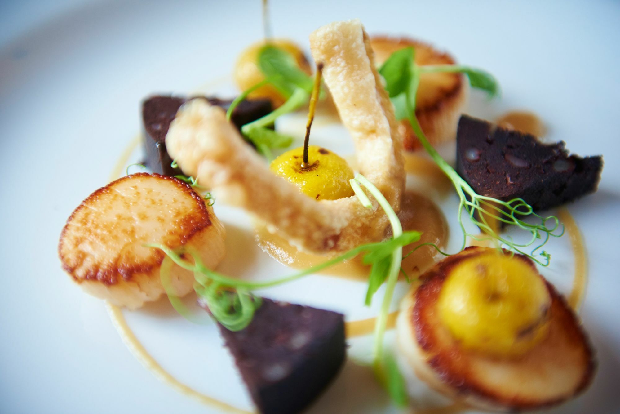 Buckland Tout Saints Hotel 托特尼斯 外观 照片